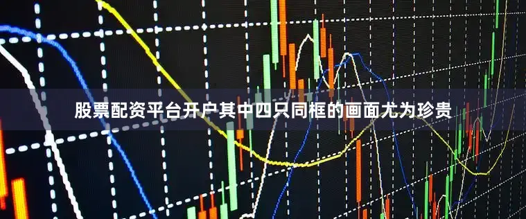 股票配资平台开户其中四只同框的画面尤为珍贵